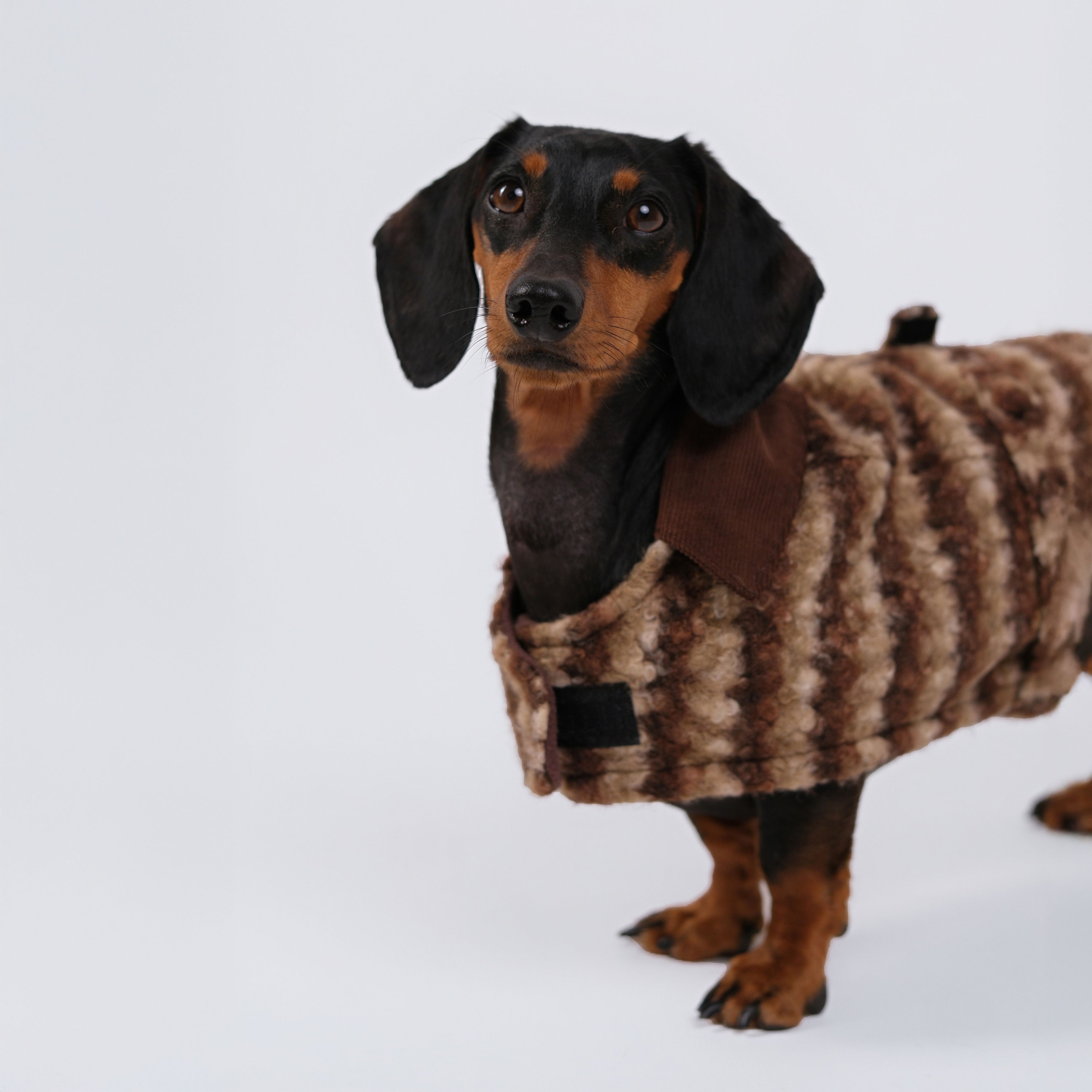 The Highland Coat - Chestnut Glen