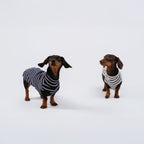 The DachLine Striped Shirt - Ivory