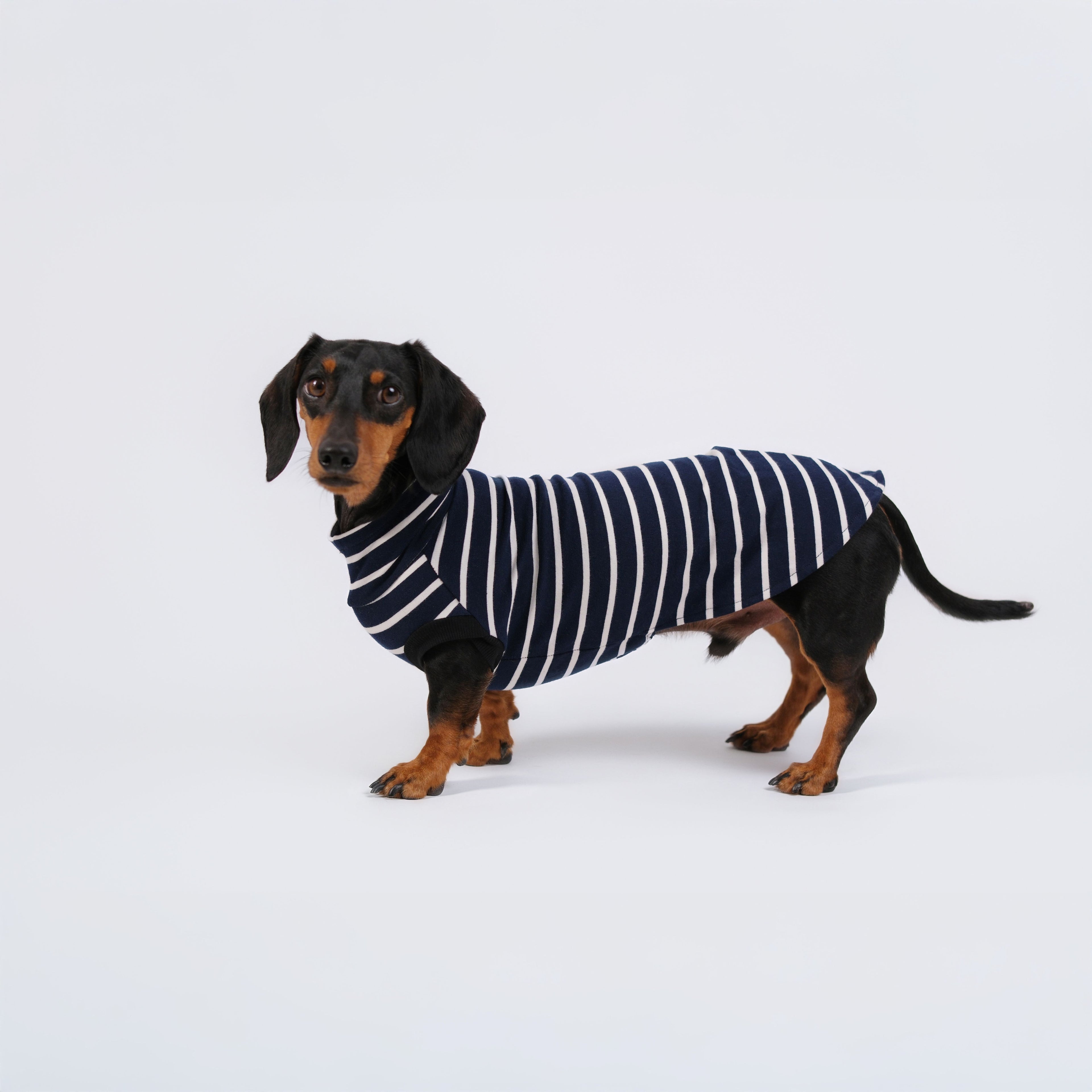 The DachLine Striped Shirt - Navy