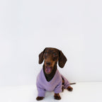 Alpine All-Legs Thermal Suit - Lavender