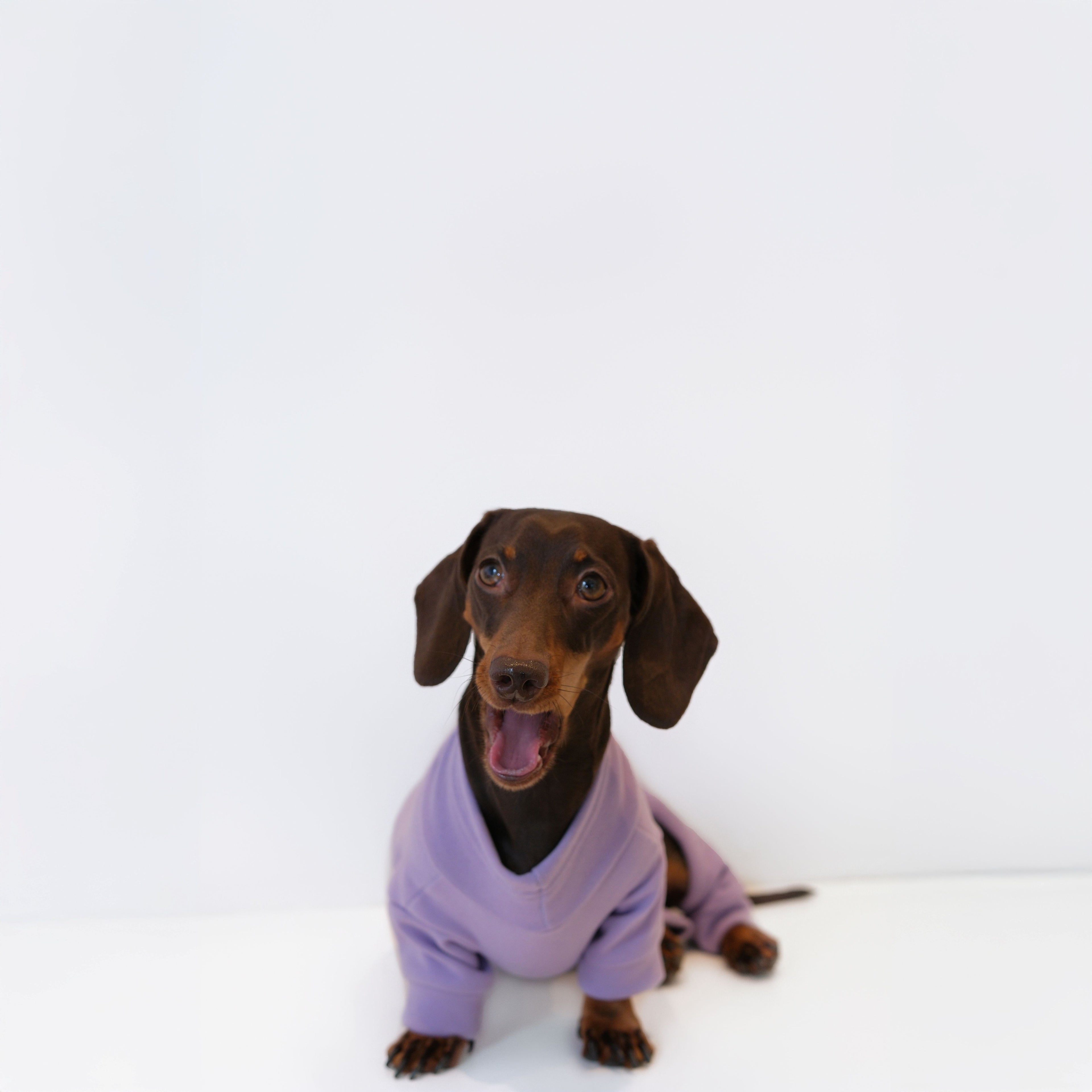 Alpine All-Legs Thermal Suit - Lavender