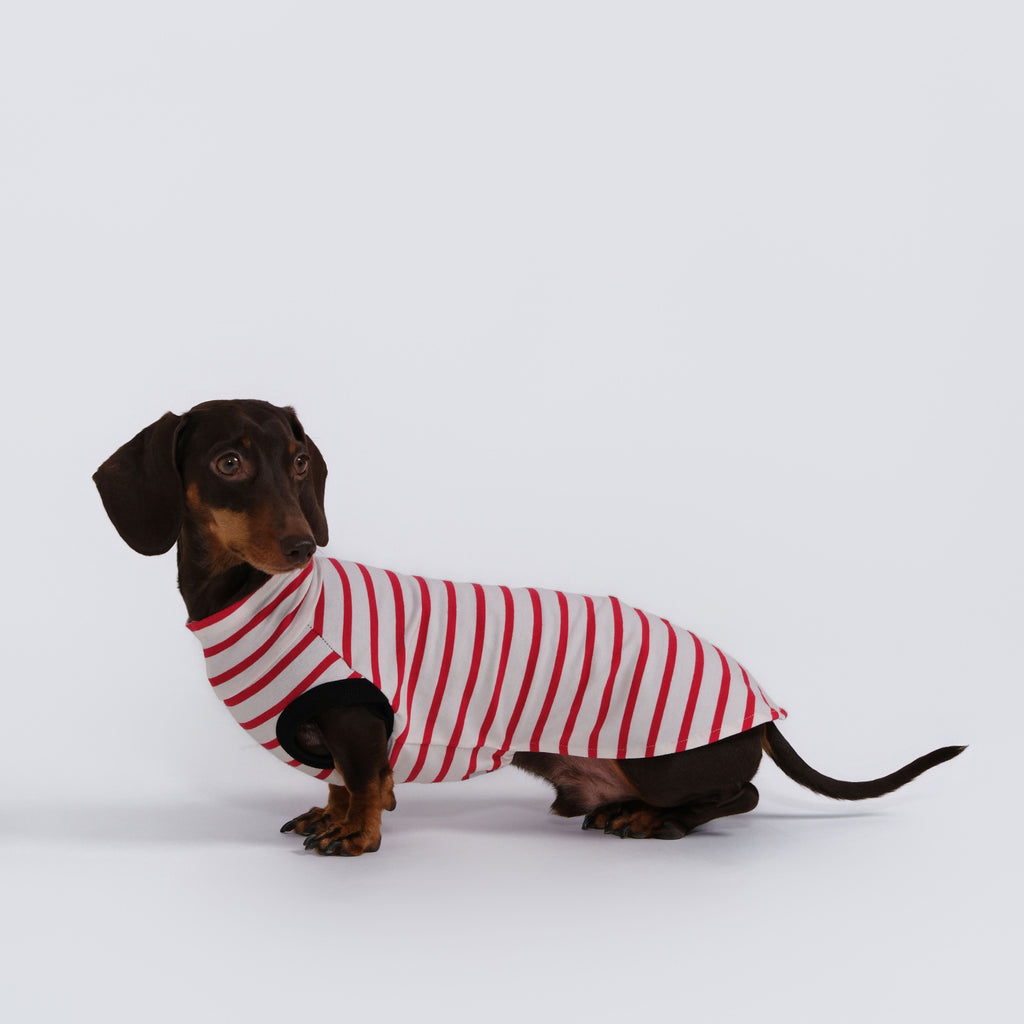 The DachLine Striped Shirt - Ruby