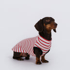 The DachLine Striped Shirt - Ruby