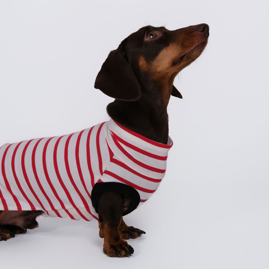 The DachLine Striped Shirt - Ruby