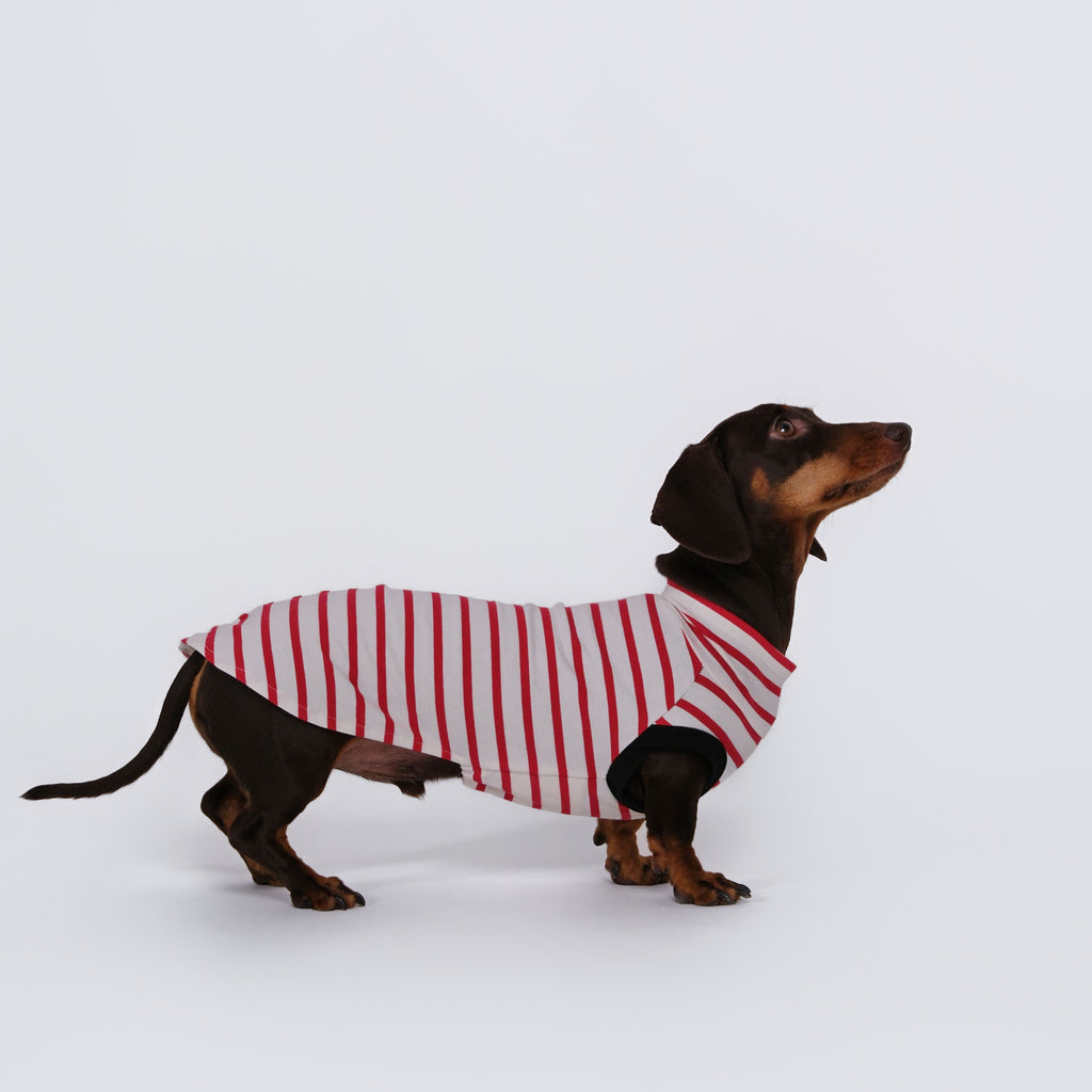 The DachLine Striped Shirt - Ruby