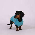 The Long Dog Fleece - Turquoise