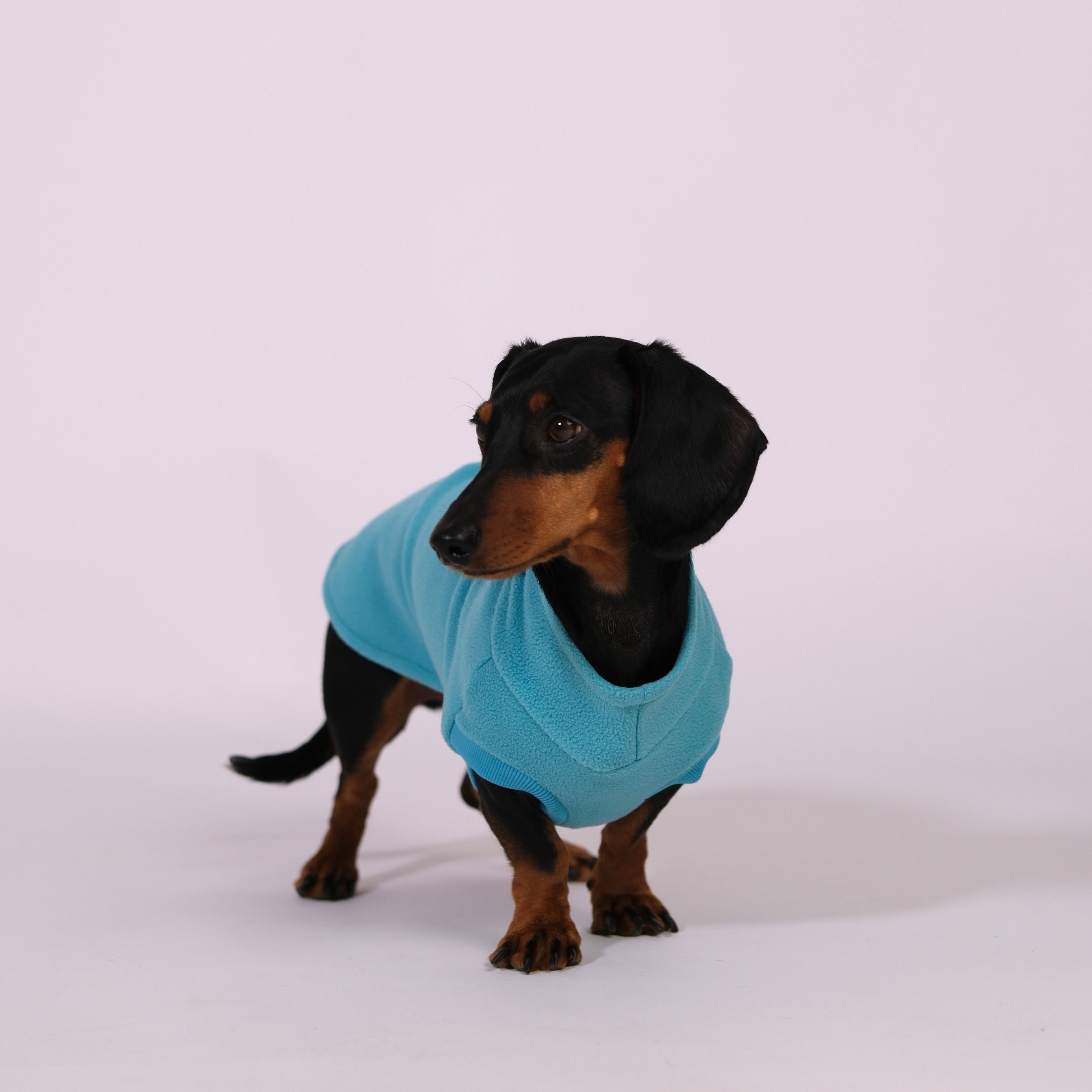 The Long Dog Fleece - Turquoise