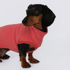 The Long Dog Fleece - Pinkish Orange
