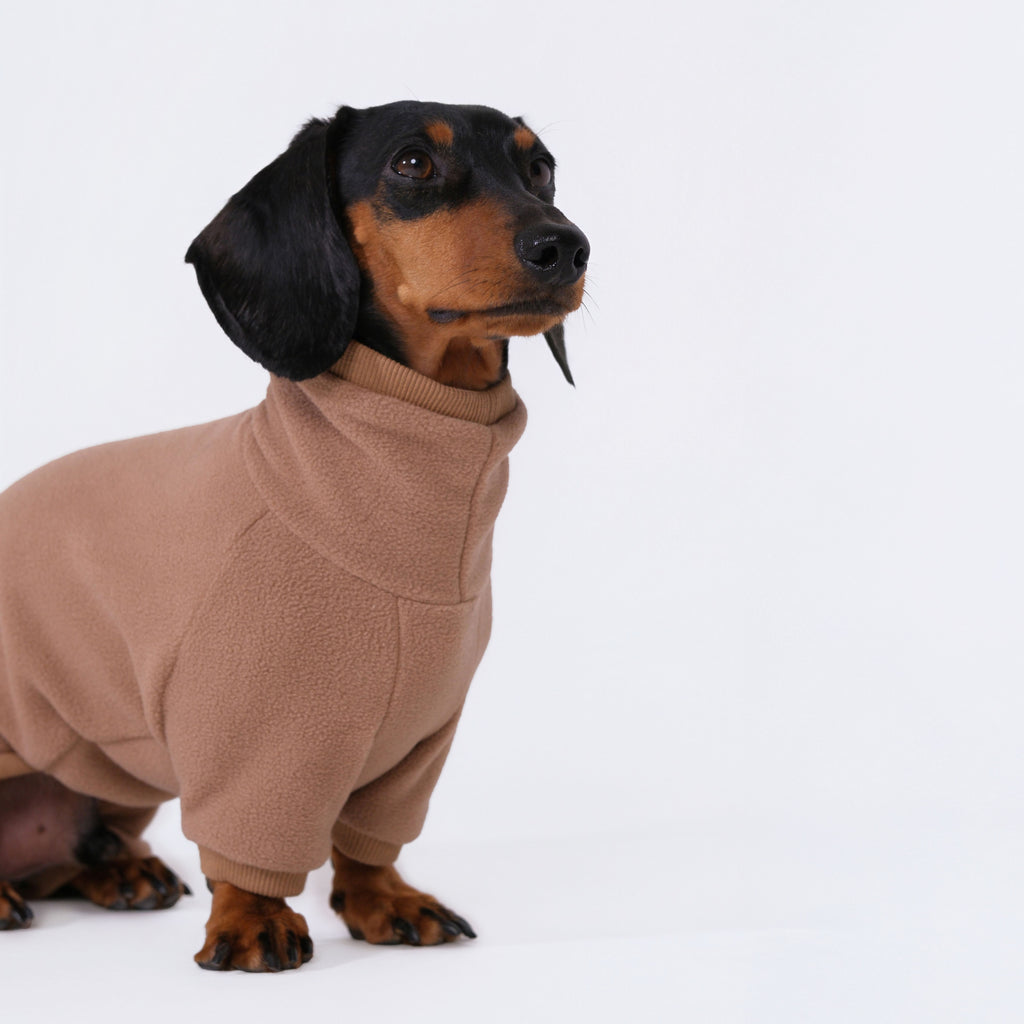 The Aero All-in-One - Teddy