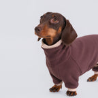 The Aero All-in-One - Mocha