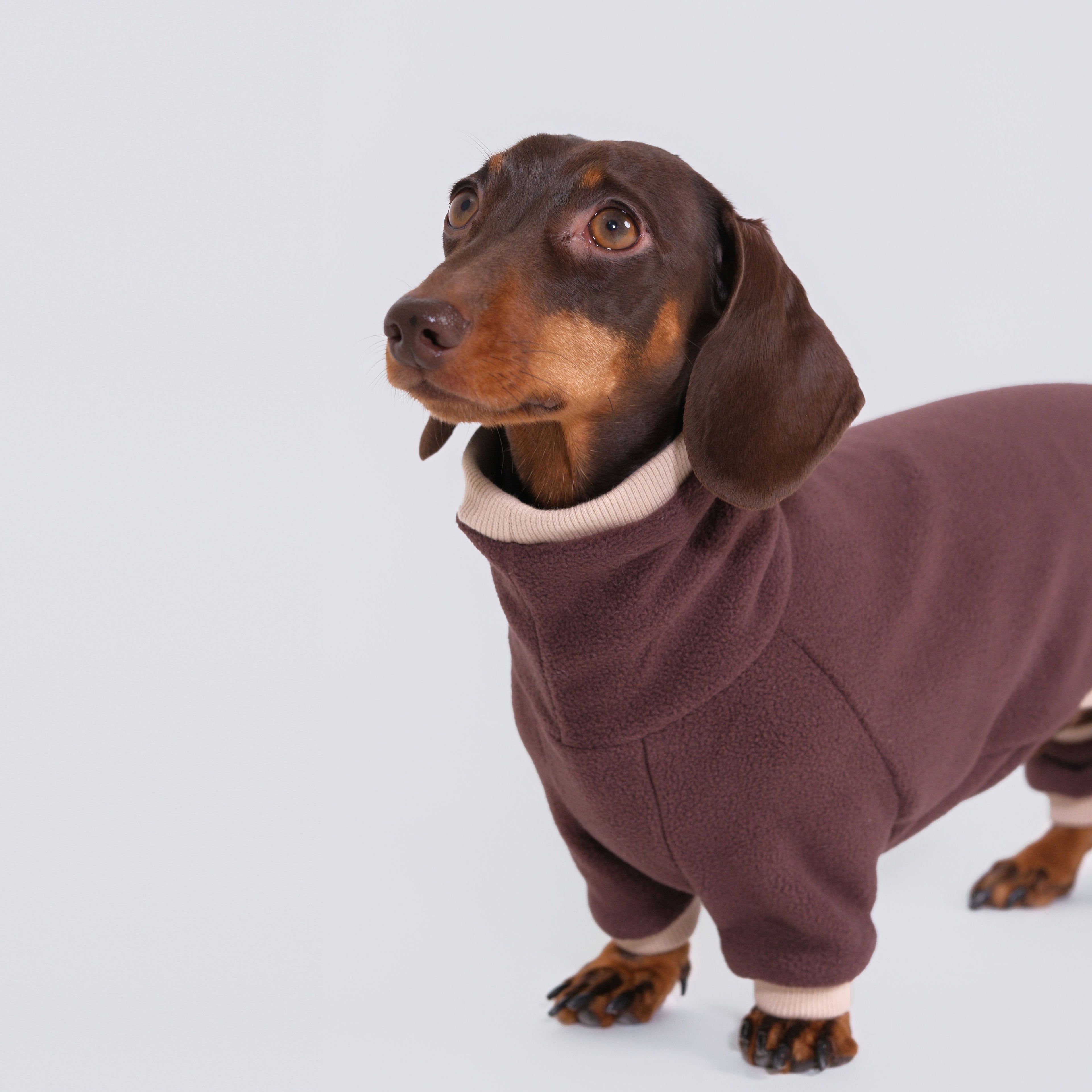 The Aero All-in-One - Mocha