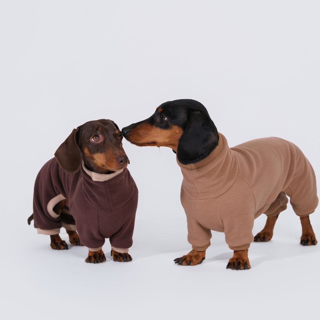 The Aero All-in-One - Mocha