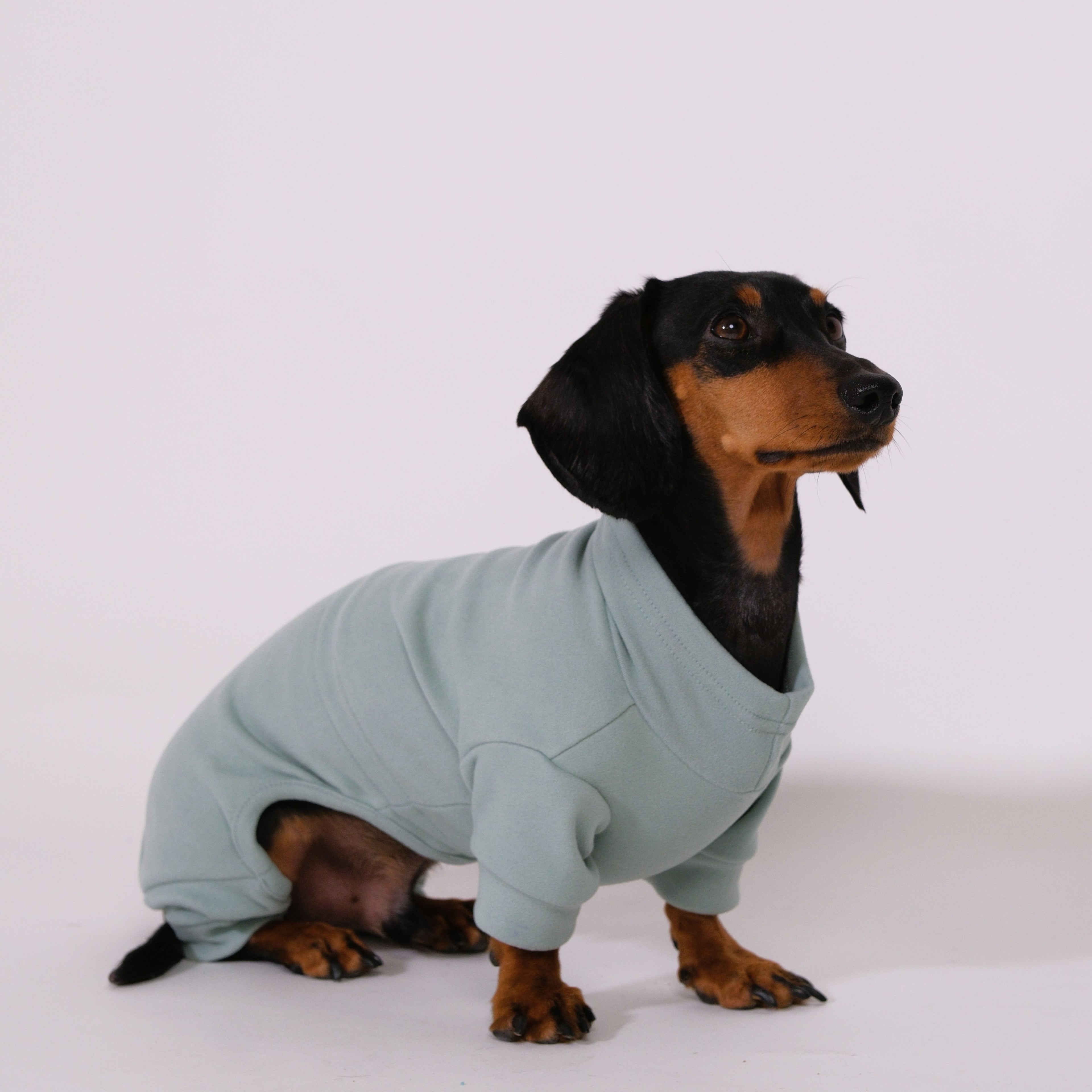 Alpine All-Legs Thermal Suit - Mint