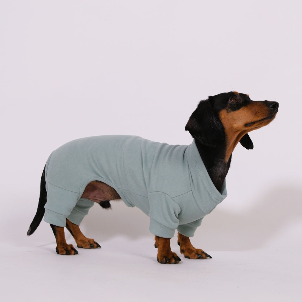 Alpine All-Legs Thermal Suit - Mint