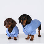 The Dachshund Polo - Cloud