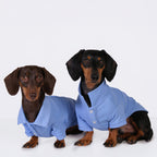 The Dachshund Polo - Cloud