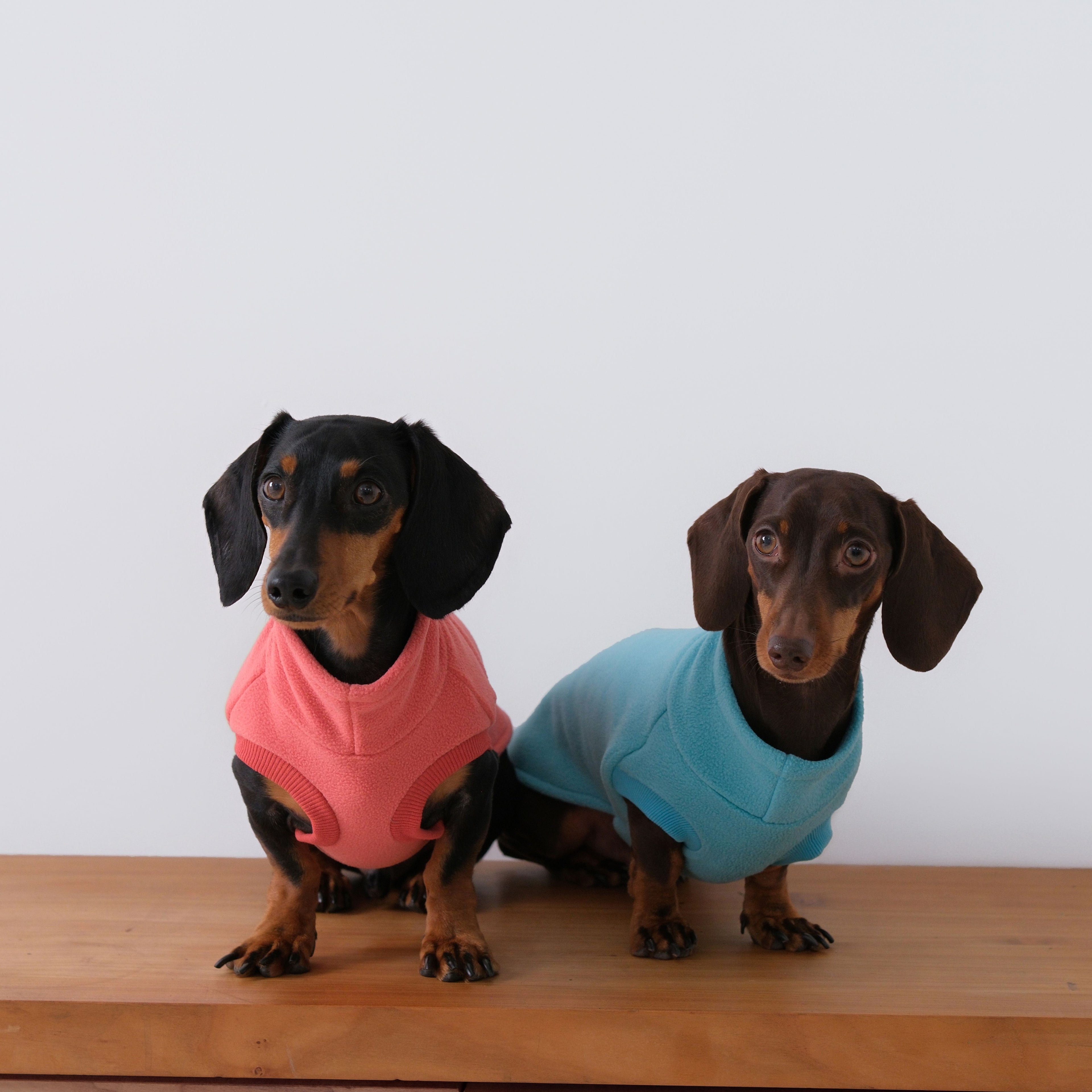 The Long Dog Fleece - Turquoise