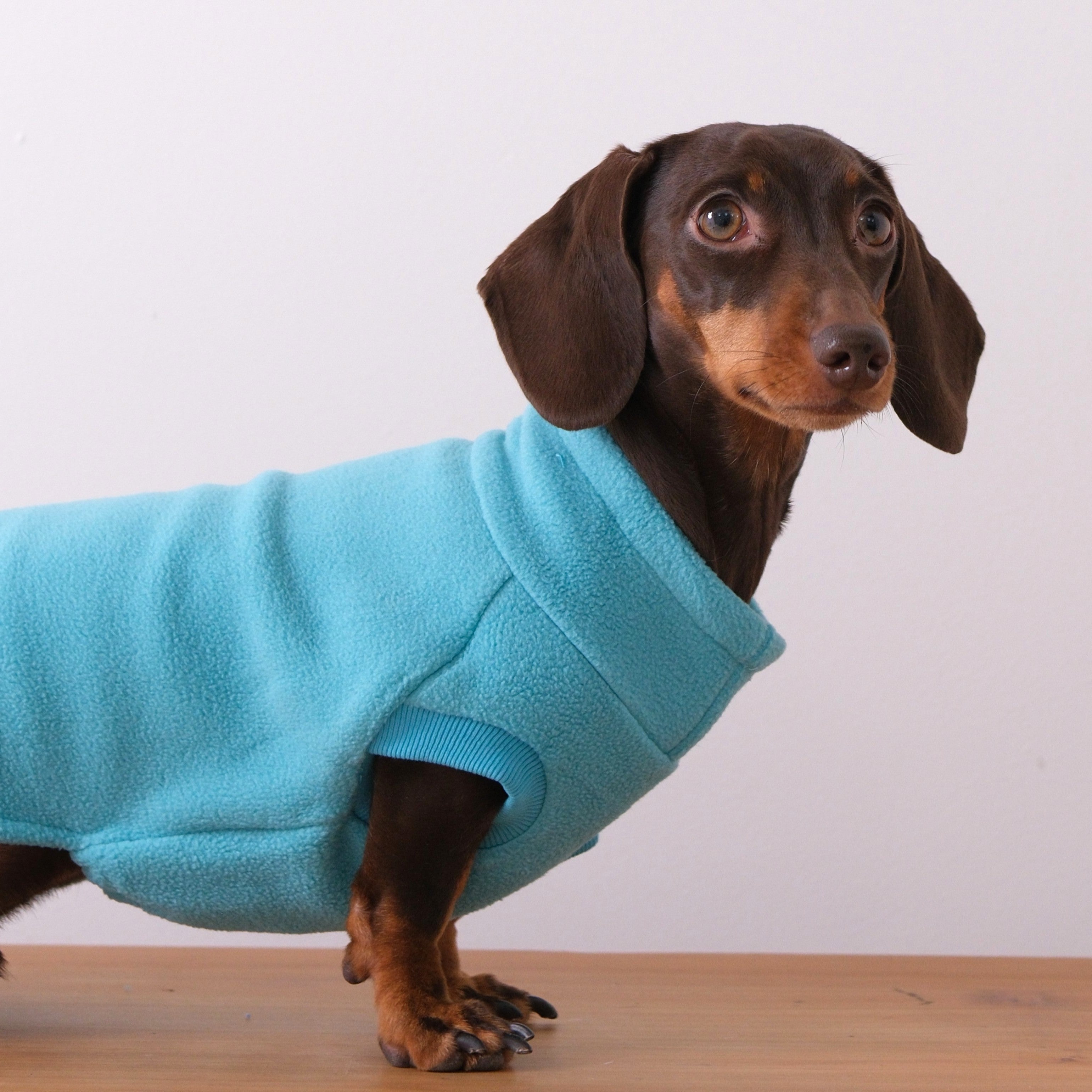 The Long Dog Fleece - Turquoise