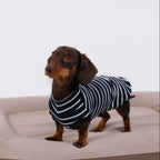 The DachLine Striped Shirt - Navy