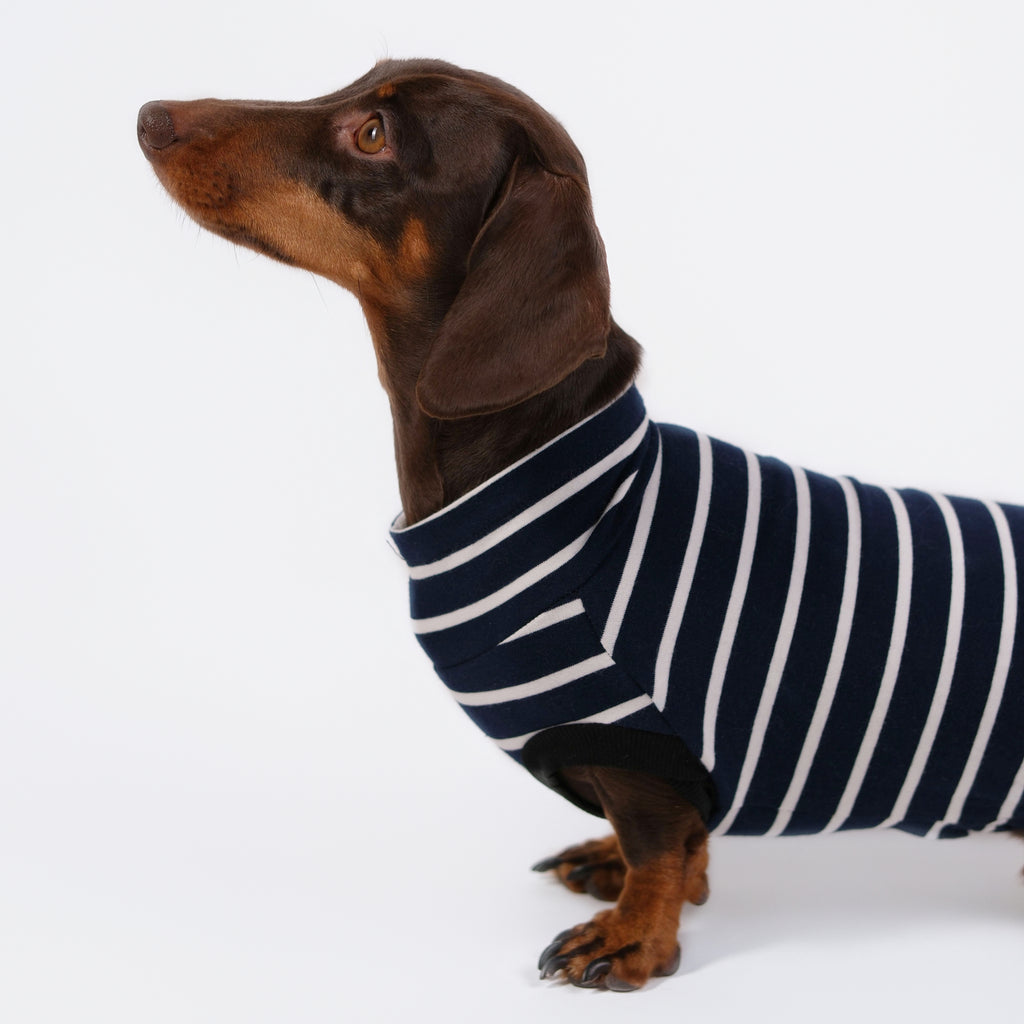 The DachLine Striped Shirt - Navy