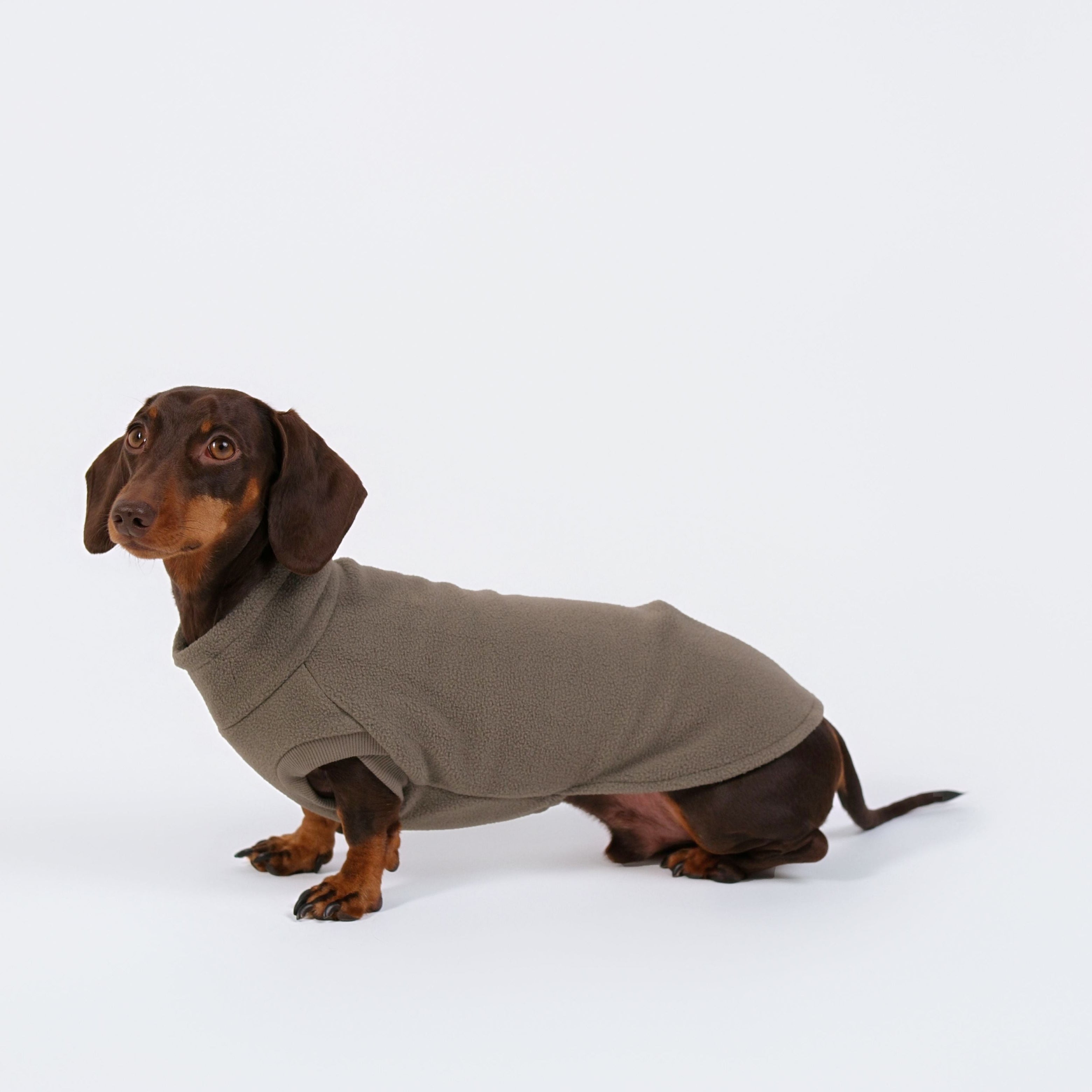 The Long Dog Fleece - Sage Grey