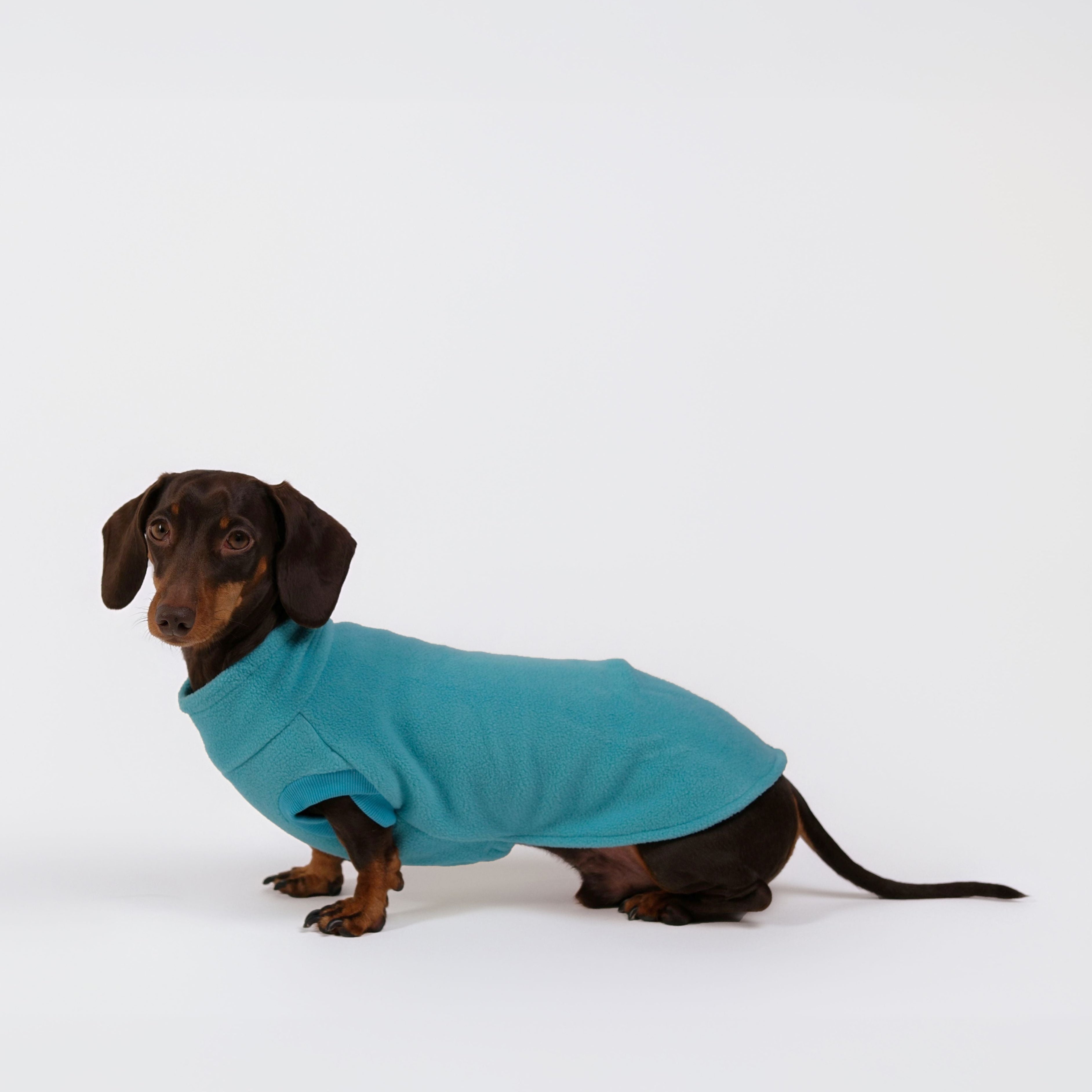 The Long Dog Fleece - Turquoise