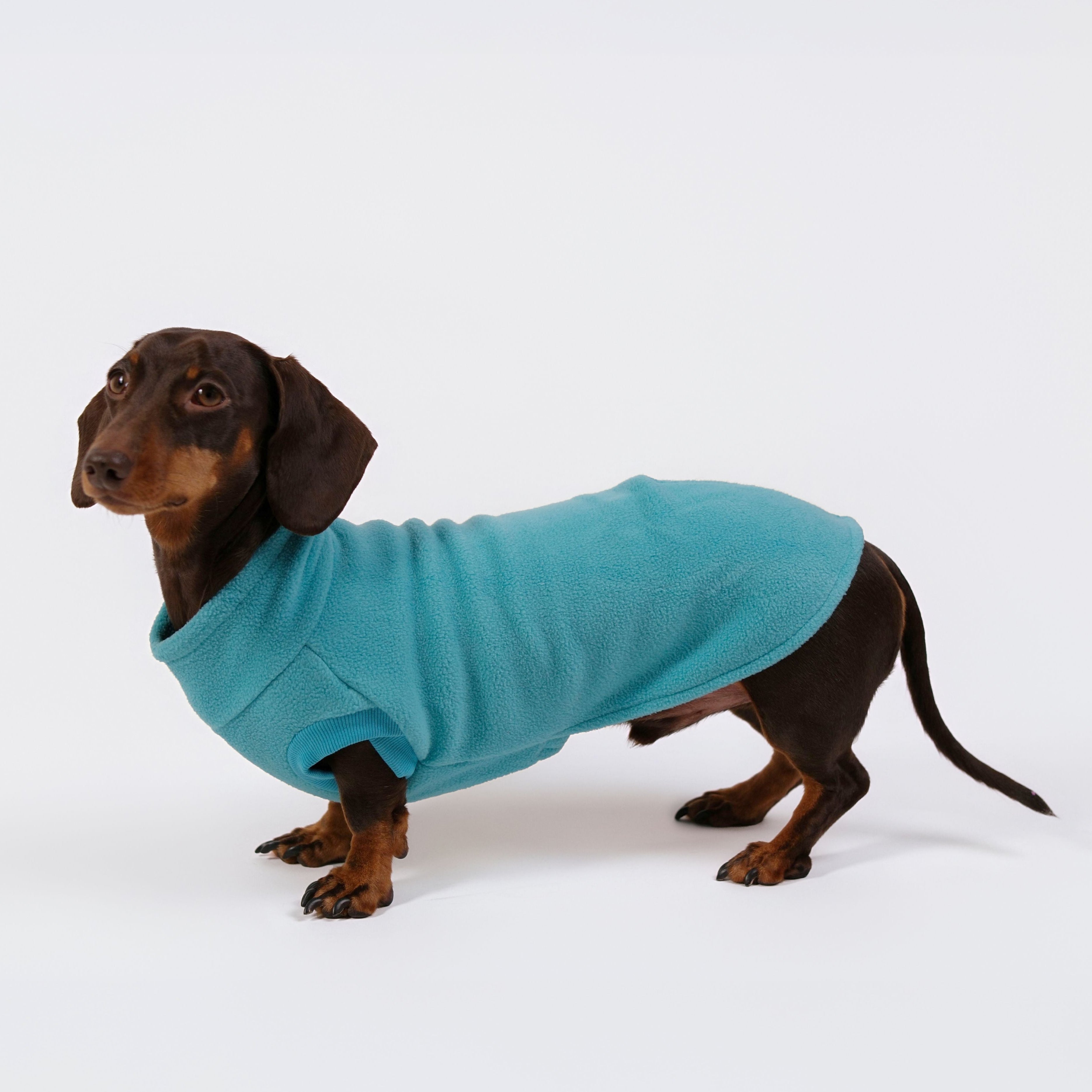 The Long Dog Fleece - Turquoise