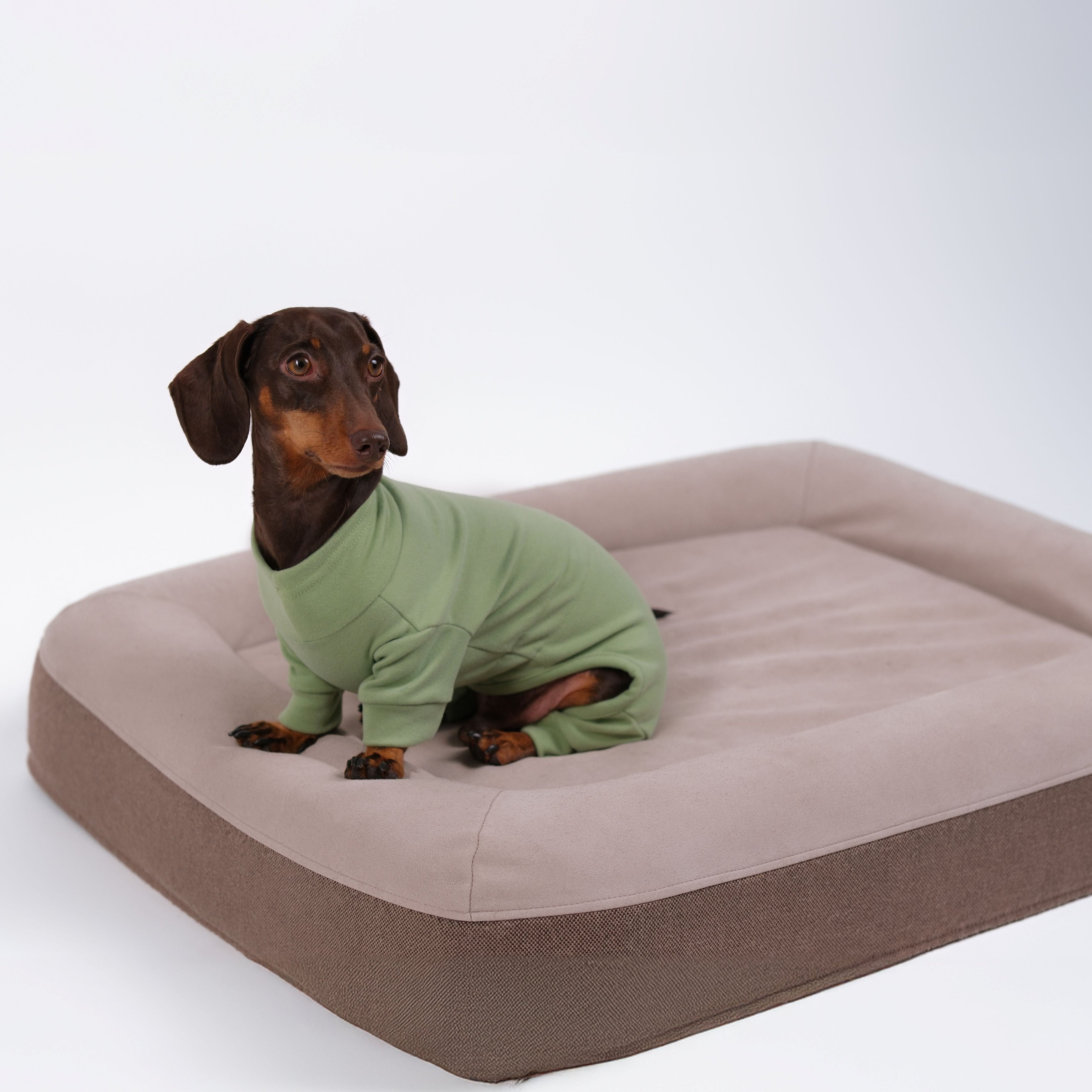 Alpine All-Legs Thermal Suit - Avocado