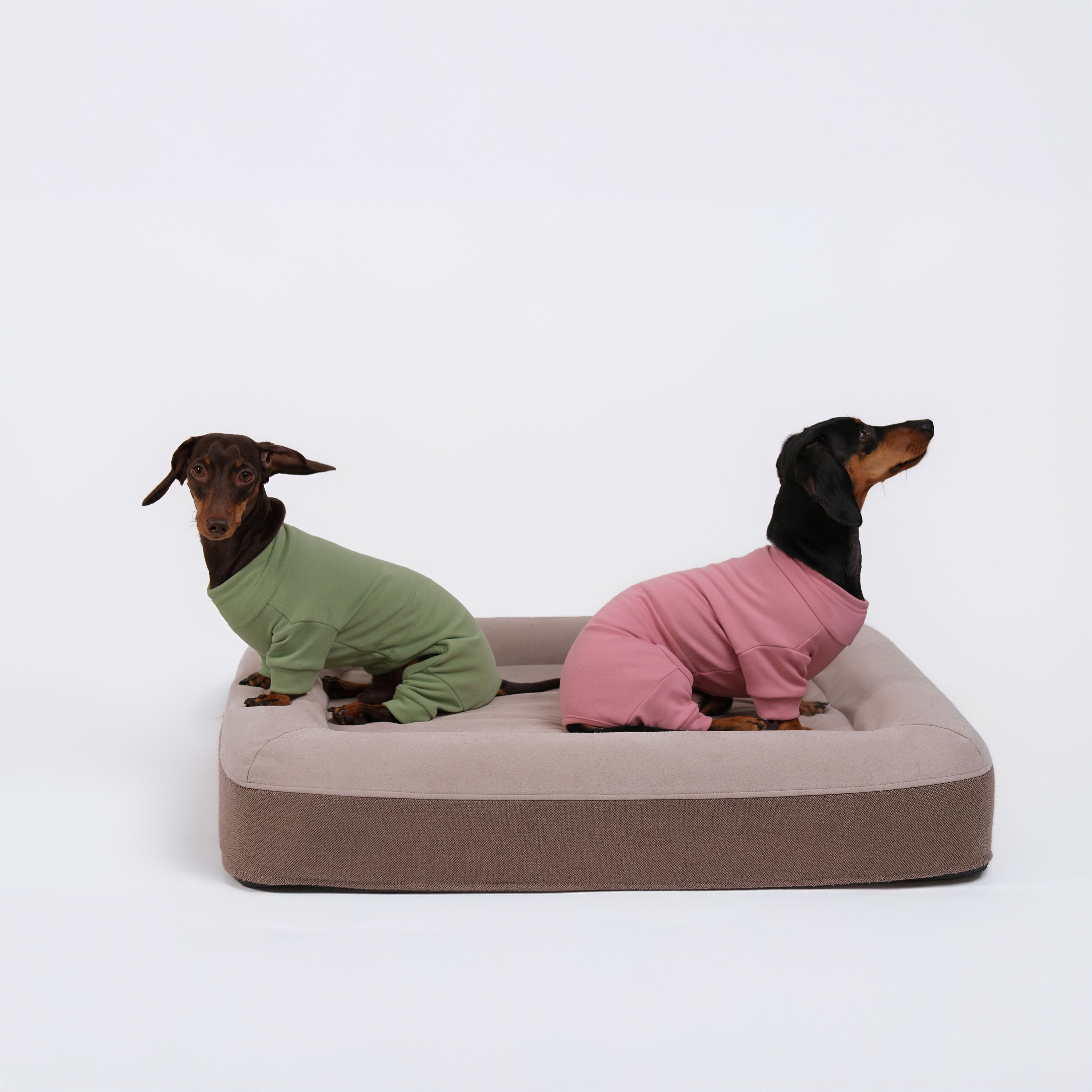 Alpine All-Legs Thermal Suit - Avocado