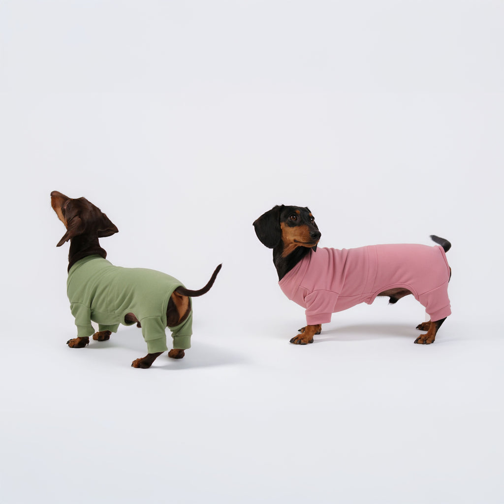 Alpine All-Legs Thermal Suit - Avocado
