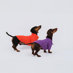The Dachshund Polo - Velvet Grape