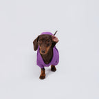 The Dachshund Polo - Velvet Grape