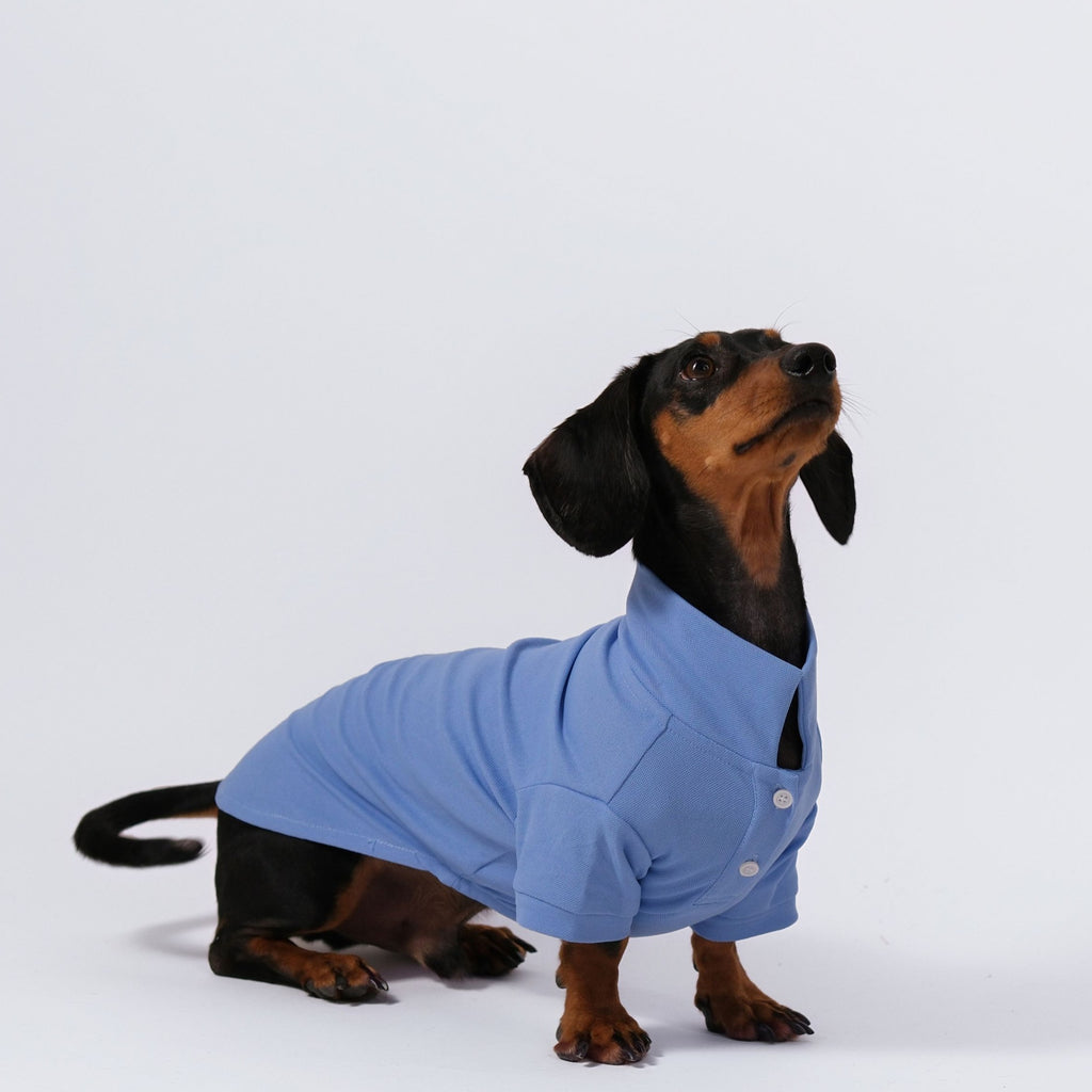 The Dachshund Polo - Cloud
