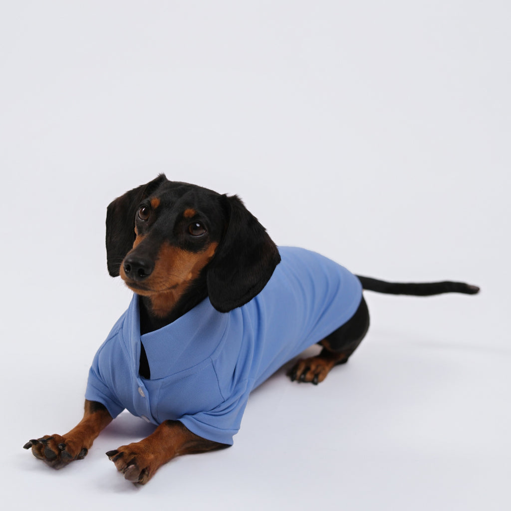 The Dachshund Polo - Cloud