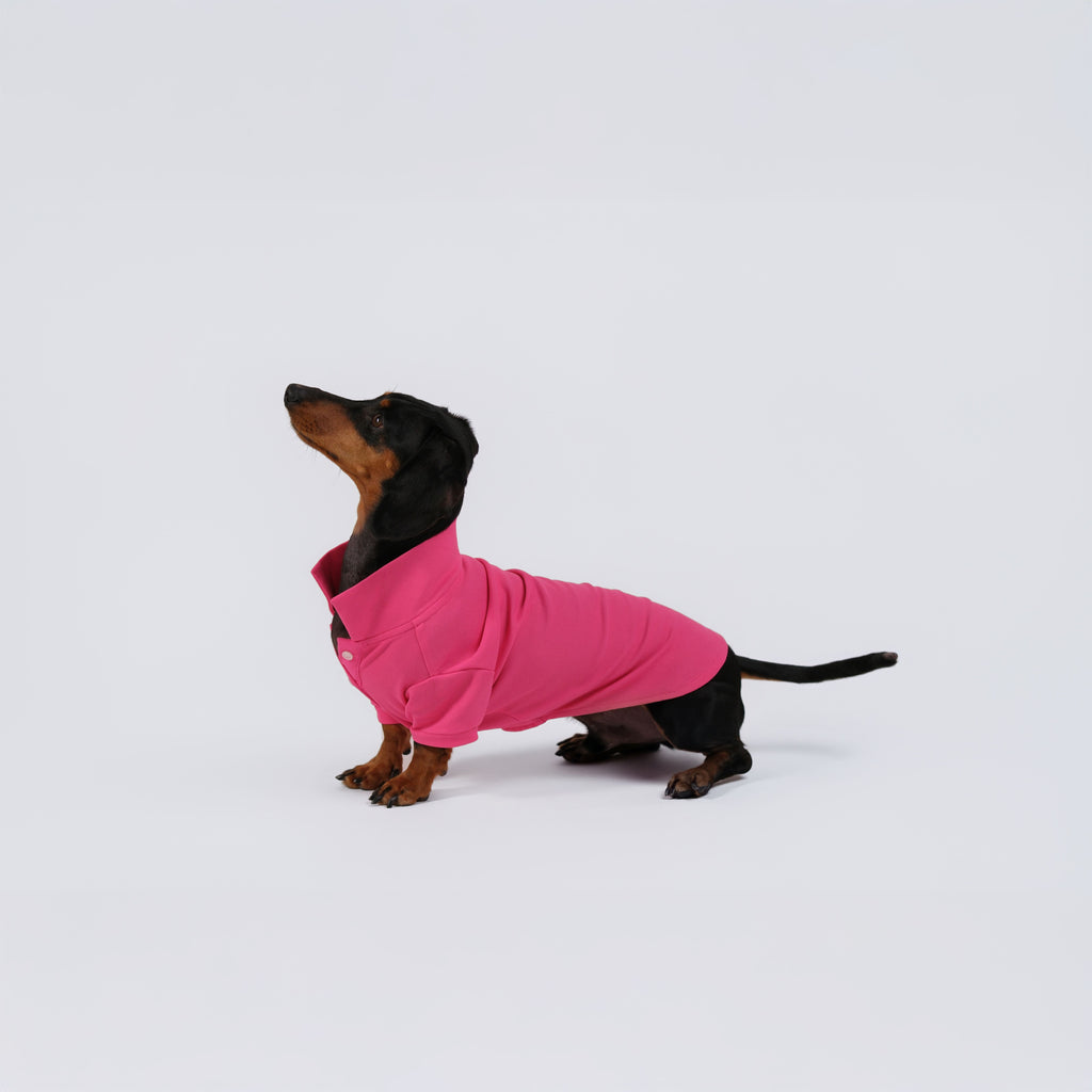 The Dachshund Polo - Rose Pink