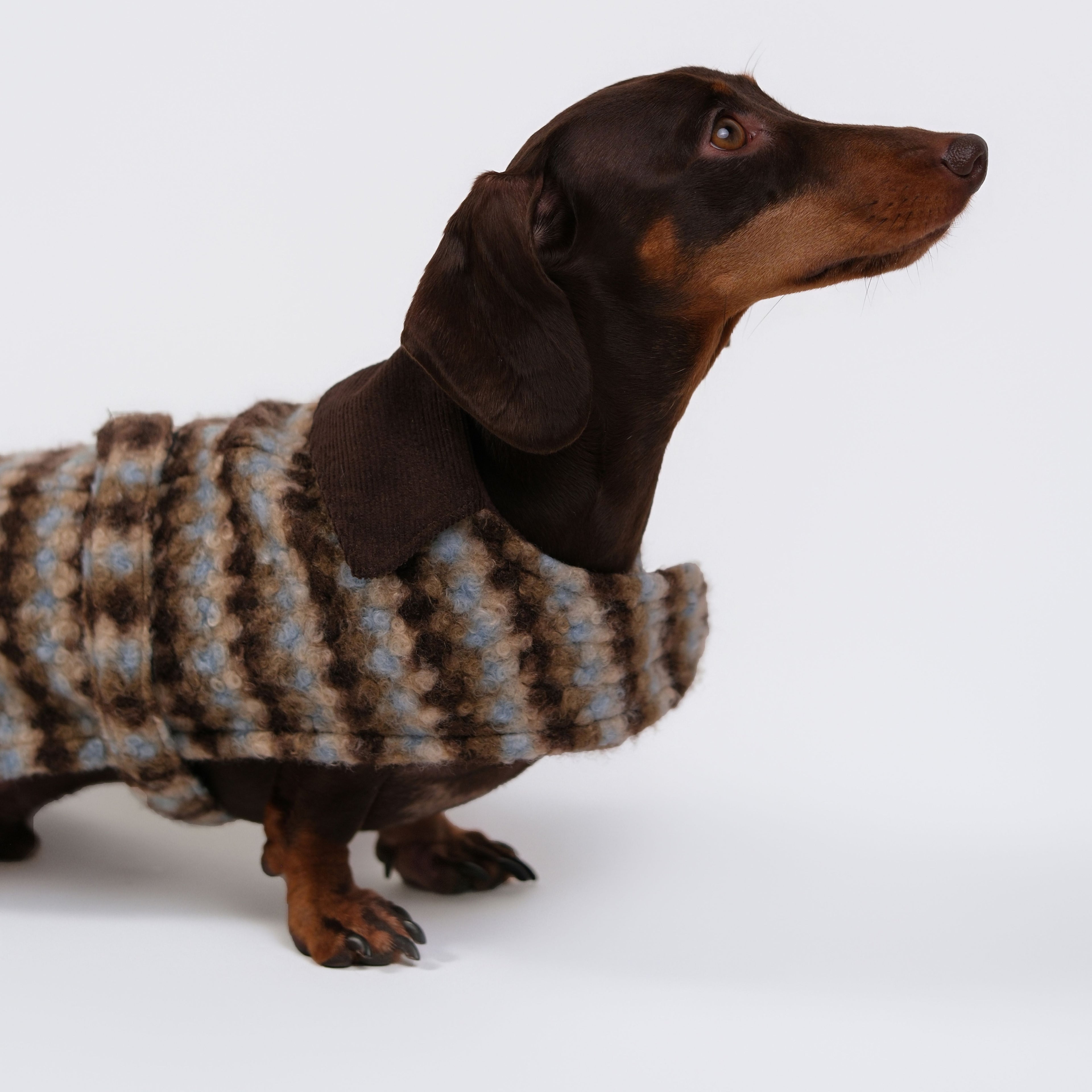 The Highland Coat- Storm Tweed