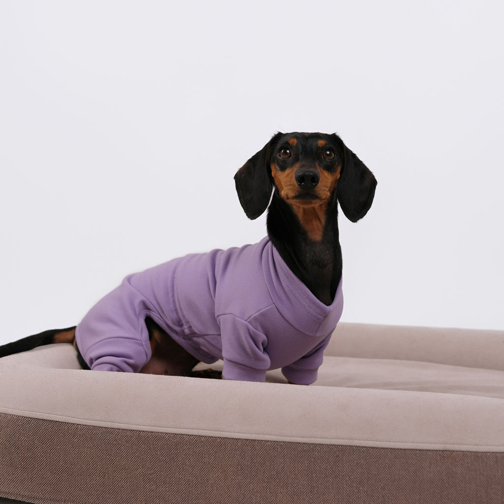 Alpine All-Legs Thermal Suit - Lavender