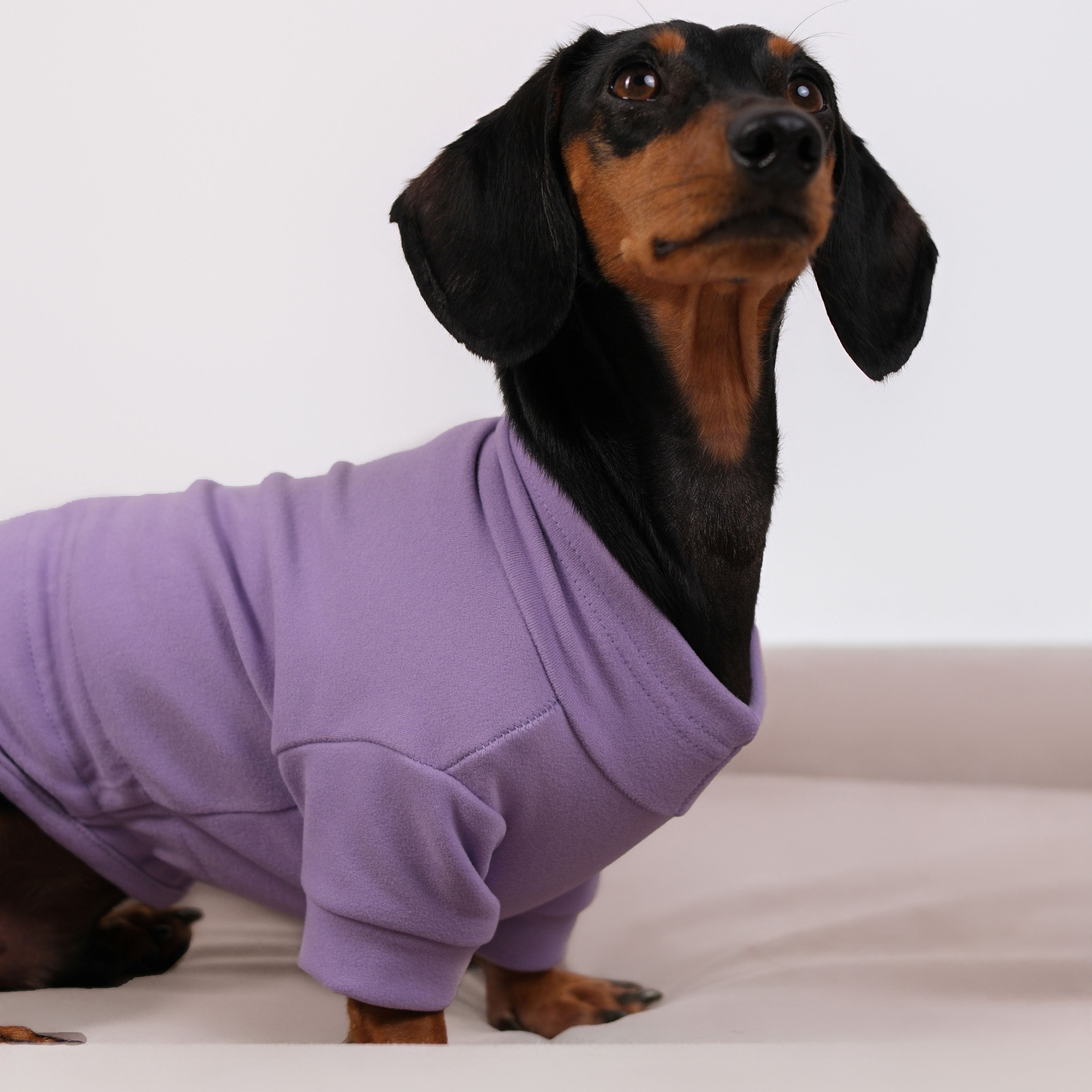 Alpine All-Legs Thermal Suit - Lavender