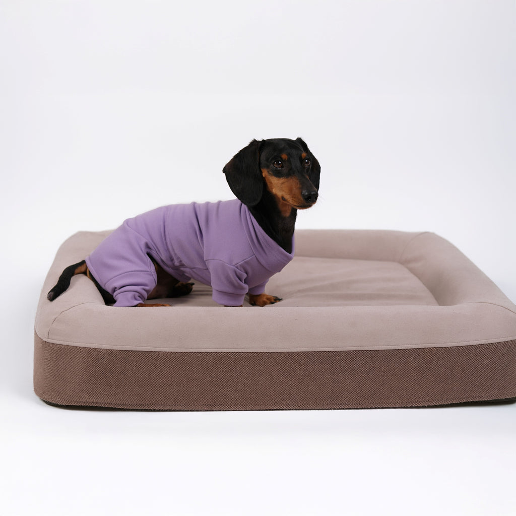 Alpine All-Legs Thermal Suit - Lavender