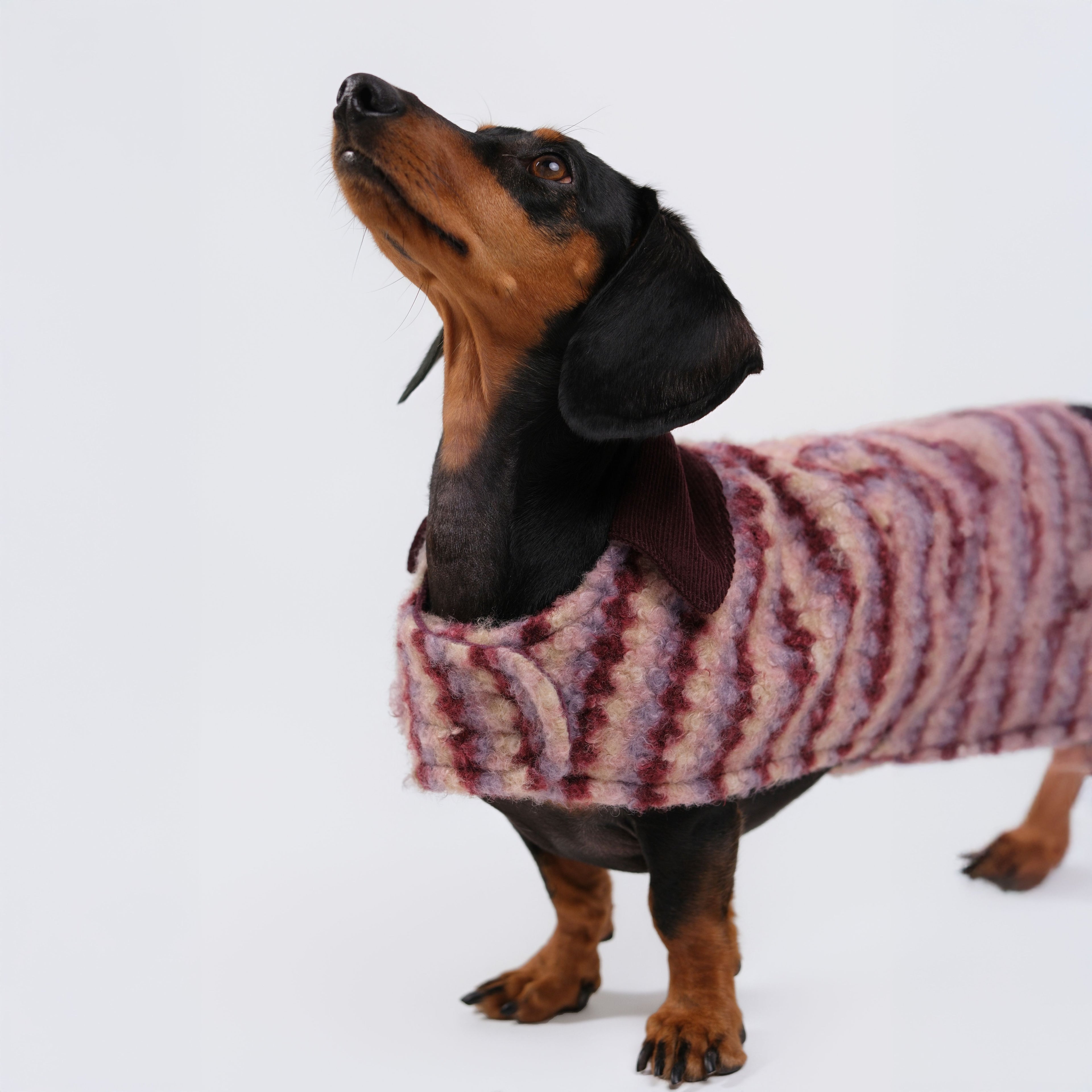 The Highland Coat - Highland Ruby